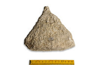 F 03060
<br/>
<br/>
<em></em>